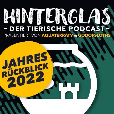 DER JAHRESRÜCKBLICK 2022 - Haie, Schlangen und Melonen - HINTERGLAS #039