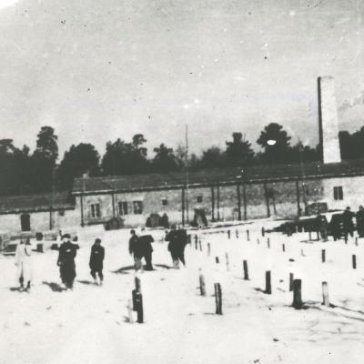 "O Auschwitz" (odc. 56): Negowanie Holokaustu - strategie kłamstwa i manipulacji