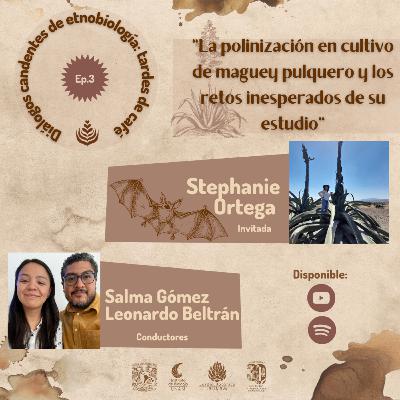 EP. 03: LA POLINIZACIÓN EN CULTIVO DE MAGUEY PULQUERO Y LOS RETOS INESPERADOS DE SU ESTUDIO CON STEPHANIE ORTEGA