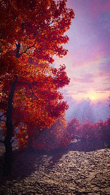 Musings: Wisdom Of The Earth's Rhythms
