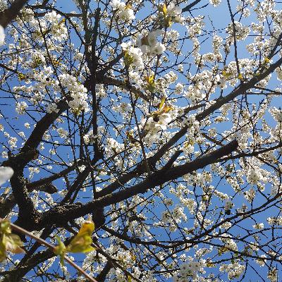 Entspannt durch den Alltag mit PME