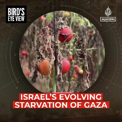 Israel’s Evolving Starvation of Gaza