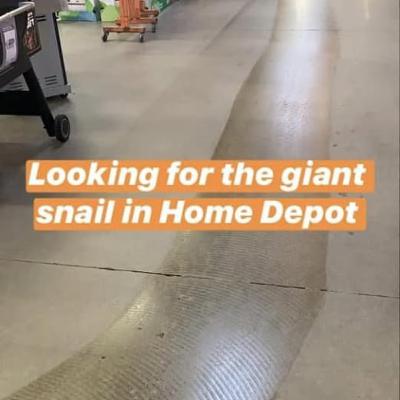 Talking about the immortal snail in a Home Depot aisle