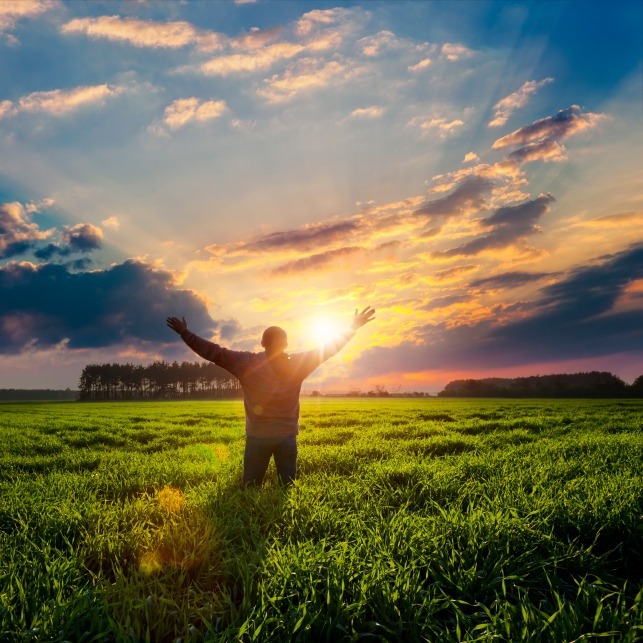 شور زندگی، نیازها، و خواسته ها