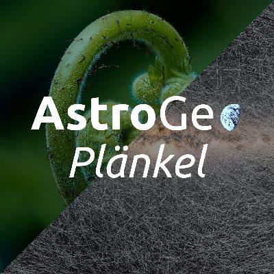 AstroGeoPlänkel: Vom Devon zur Silbernase des Tycho Brahe