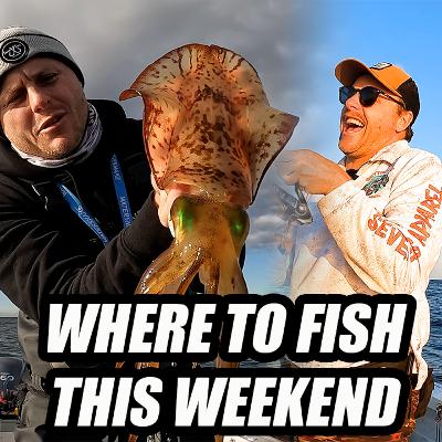 Where To Go Fishing This Weekend