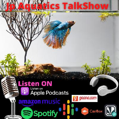 7 Things Every Betta Hobbyist Should Plan Before Buying Your Fish 7 Things Every Betta Hobbyist Should Plan Before Buying Your Fish