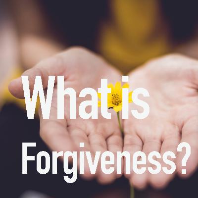 What is forgiveness? What is forgiveness?