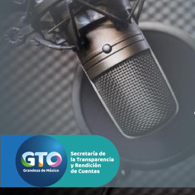 Guanajuato en la Comisión Permanente de Contralores Estado - Federación.