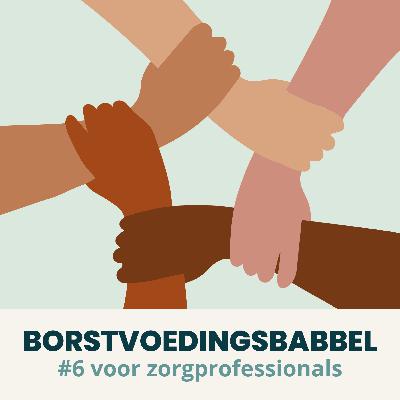 #6 Visie beroepsgroep NVL