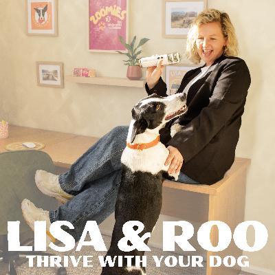 Animal Behaviour Transformation Through Surrogate Hypnosis, Energy + the Human-Animal Connection