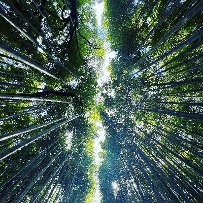 Sustainable Skincare: Balancing Beauty and the Planet