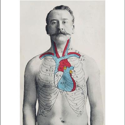 “Corpo, umano” “Corpo, umano”