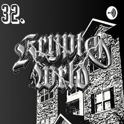 Brand Things Part 3 with Brandon Alden Owner of krypt0wrld