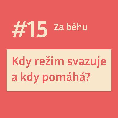 #15 Kdy režim svazuje a kdy pomáhá?
