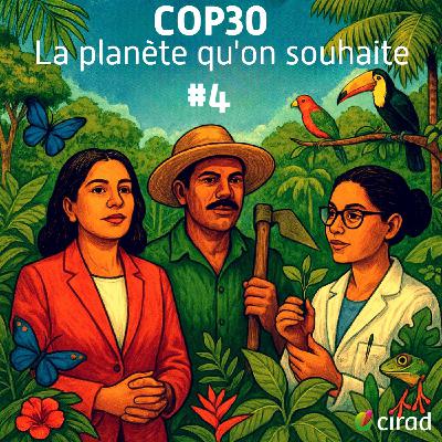 COP30 | Réparer la forêt