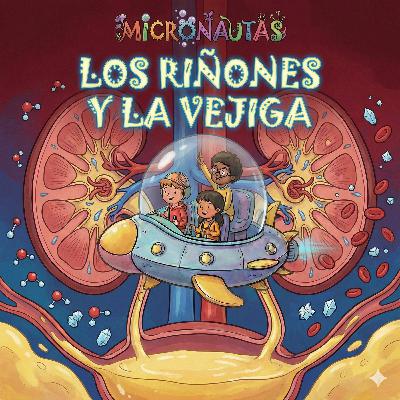 La depuradora: riñones y vejiga