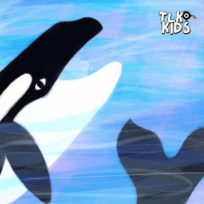 El maravilloso mundo de las orcas