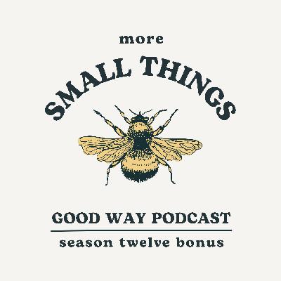 Bee Bonus 3