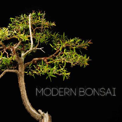 Modern Bonsai Episode 25 "Teaching The Kids" Ft Matt Ball