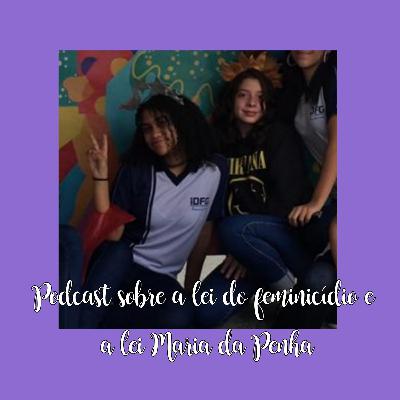 A diferença da Lei Maria da Penha e a Lei do feminicídio