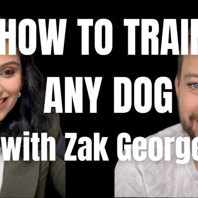 How to train your dog? Tips & Tricks with Zak George How to train your dog? Tips & Tricks with Zak George