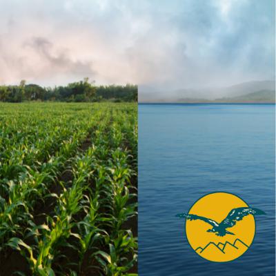 Maestría en Investigación en Cambio Climático, Sustentabilidad y Desarrollo