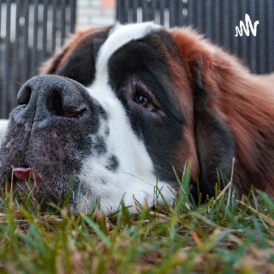 A making of Beethoven’s 5th Symphony