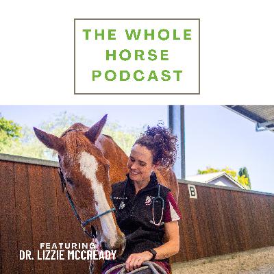 WH150 | Building confidence and competence in equine emergencies with Dr. Lizzie McCready WH150 | Building confidence and competence in equine emergencies with Dr. Lizzie McCready