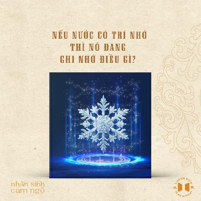 #224 Nếu nước có trí nhớ, thì nó đang ghi nhớ điều gì? | Nhân sinh cảm ngộ