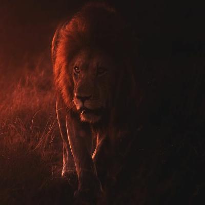 #006 — Dealing with Depression: You Need to FIGHT!