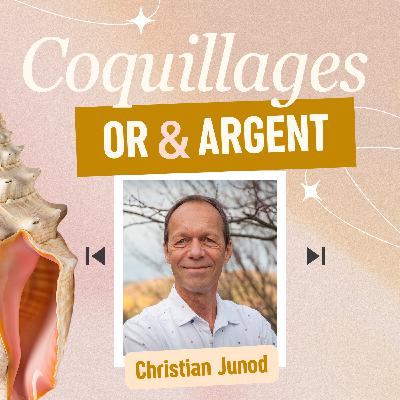 Argent : Pourquoi 90% de vos blocages sont inconscients ? (Christian Junod) Argent : Pourquoi 90% de vos blocages sont inconscients ? (Christian Junod)