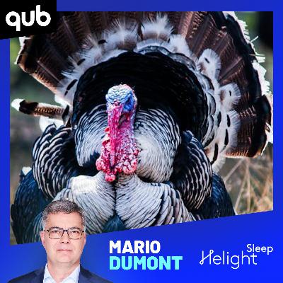 «Ils entrent dans ma remise!»: cet agriculteur est envahi par des centaines de dindons sauvages!