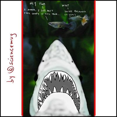 le dimensioni (del cervello) contano, se sei una pescolina tropicale