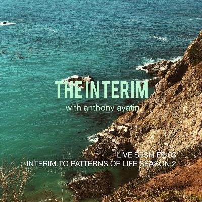 03 The Interim Patterns of Anthony Ayatin - At Home With The Inner Child & Animal Crossing