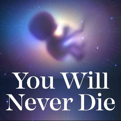 Reincarnation, Past Lives and Karma: All You Need To Know