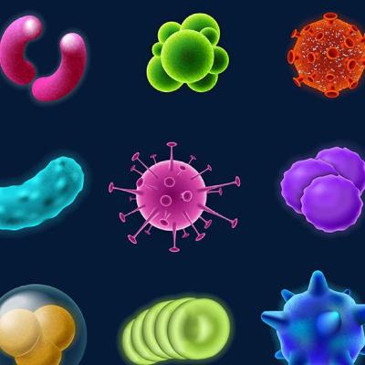 Los virus están vivos