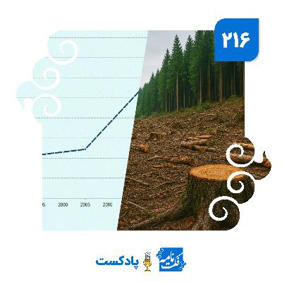جنگل‌های ایران چگونه زیاد شدند؟