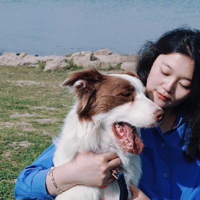 102. 我领养了一只抑郁症边牧