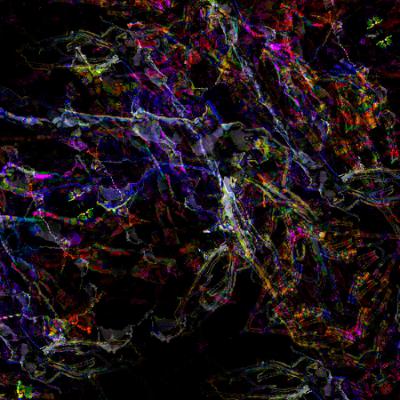 Curse Precursor (disquiet0737) Curse Precursor (disquiet0737)