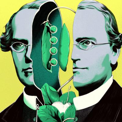 Mendel y el descubrimiento del gen (03 Historia Intelectual del Siglo XX).