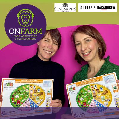 Scottish Eatwell Guide, and eating well for menopause