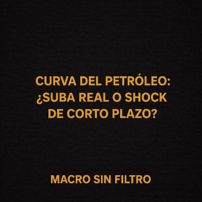 Curva del Petróleo: ¿Suba Real o Shock de Corto Plazo?