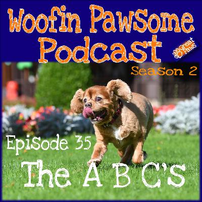 The A B C's - Episode 35 The A B C's - Episode 35