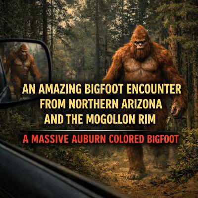 A Combat Veteran’s Bigfoot Encounter in Arizona | I Saw a Red-Haired Bigfoot Step From the Trees A Combat Veteran’s Bigfoot Encounter in Arizona | I Saw a Red-Haired Bigfoot Step From the Trees