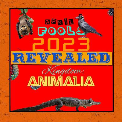 April Fools 2023 - The Big Reveal