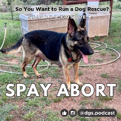 3.1 - Spay Aborts: The No-Brainer No-Kill Can't Handle