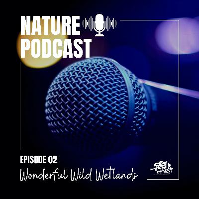 Replay Wonderful Wild Wetlands Replay Wonderful Wild Wetlands