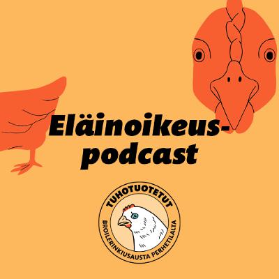 Näkymätön lintumme Näkymätön lintumme