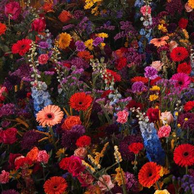 Episode 116 - "Yikes"